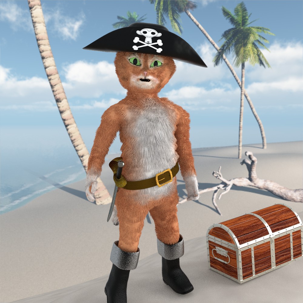 Pirate Puss preview image 1